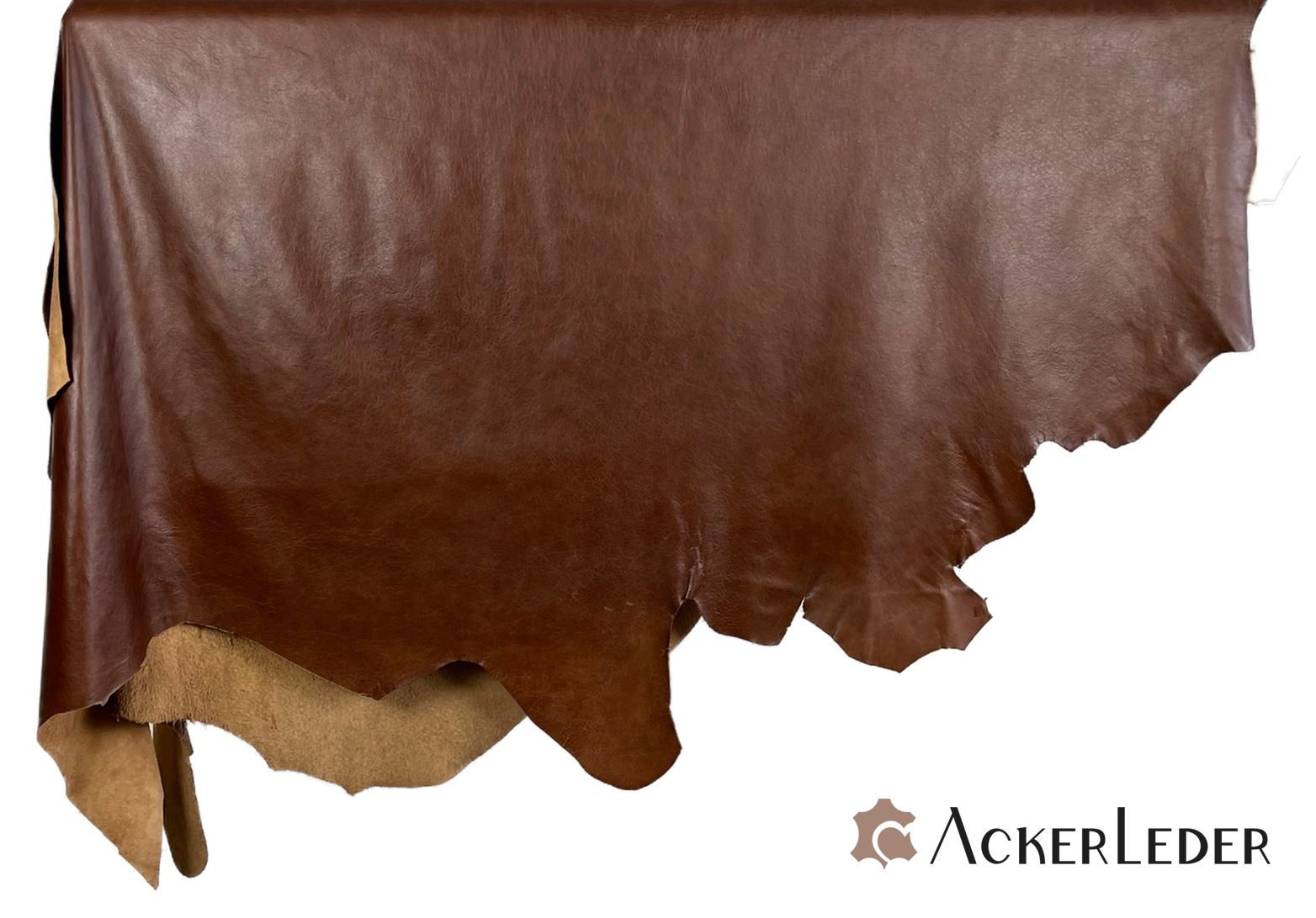 Lederhaut Rindleder Braun Chesterfield glatt Antik Vintage 2206104 verschiedene Größen