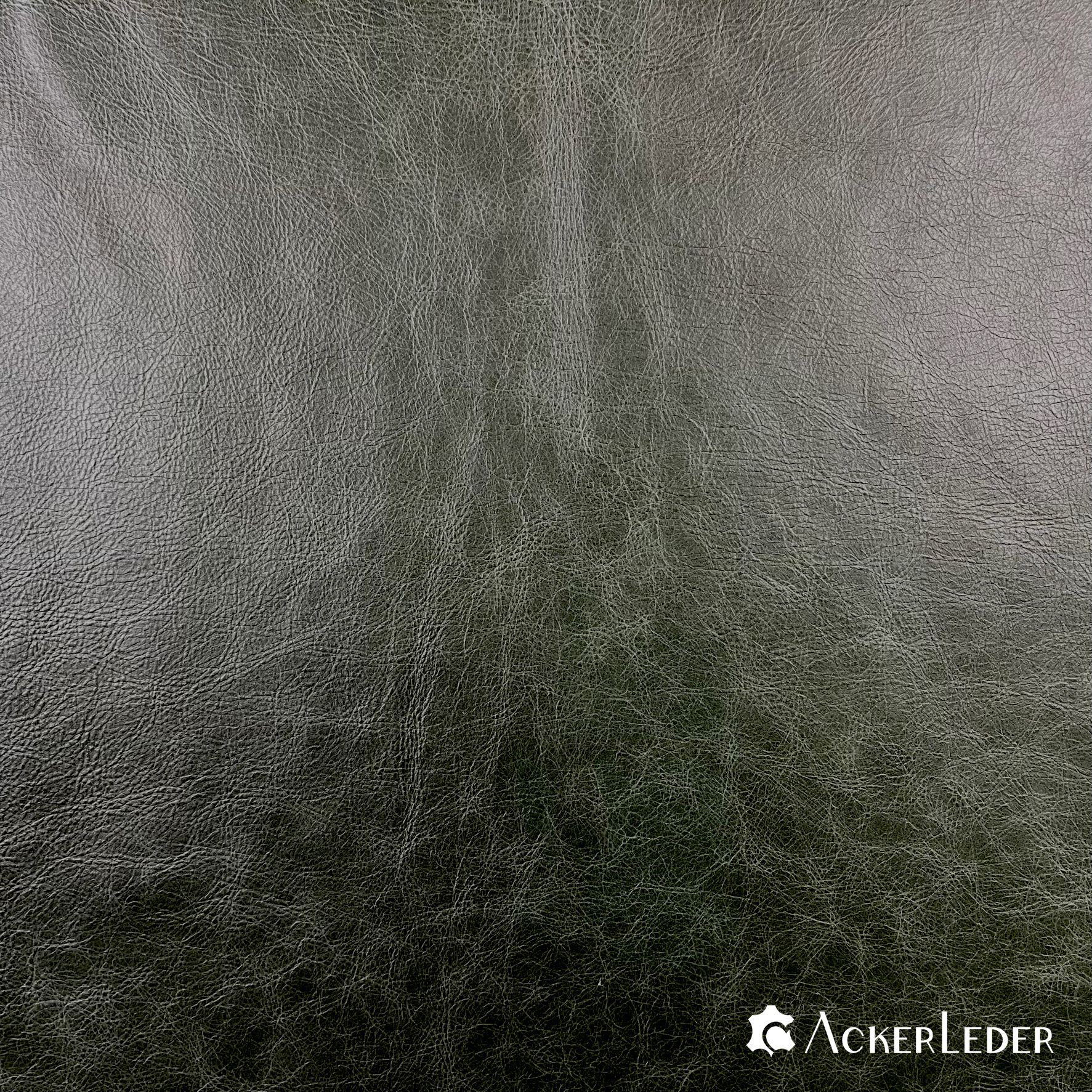 Lederhaut Rindleder Dunkelgrün Glatt Marmoriert Chesterfield 2206106 verschiedene Größen 