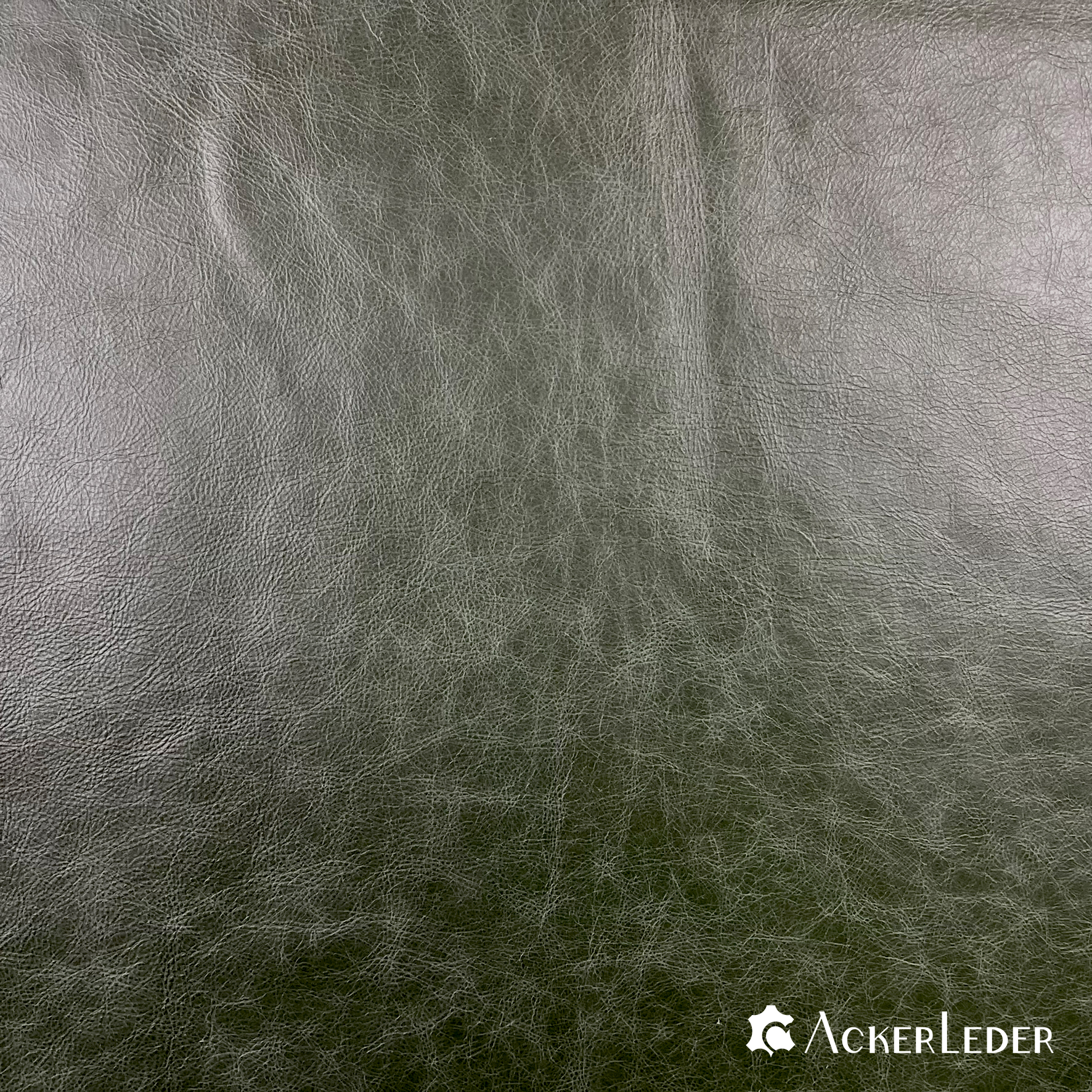 Lederhaut Rindleder Dunkelgrün Glatt Marmoriert Chesterfield 2206106 verschiedene Größen 