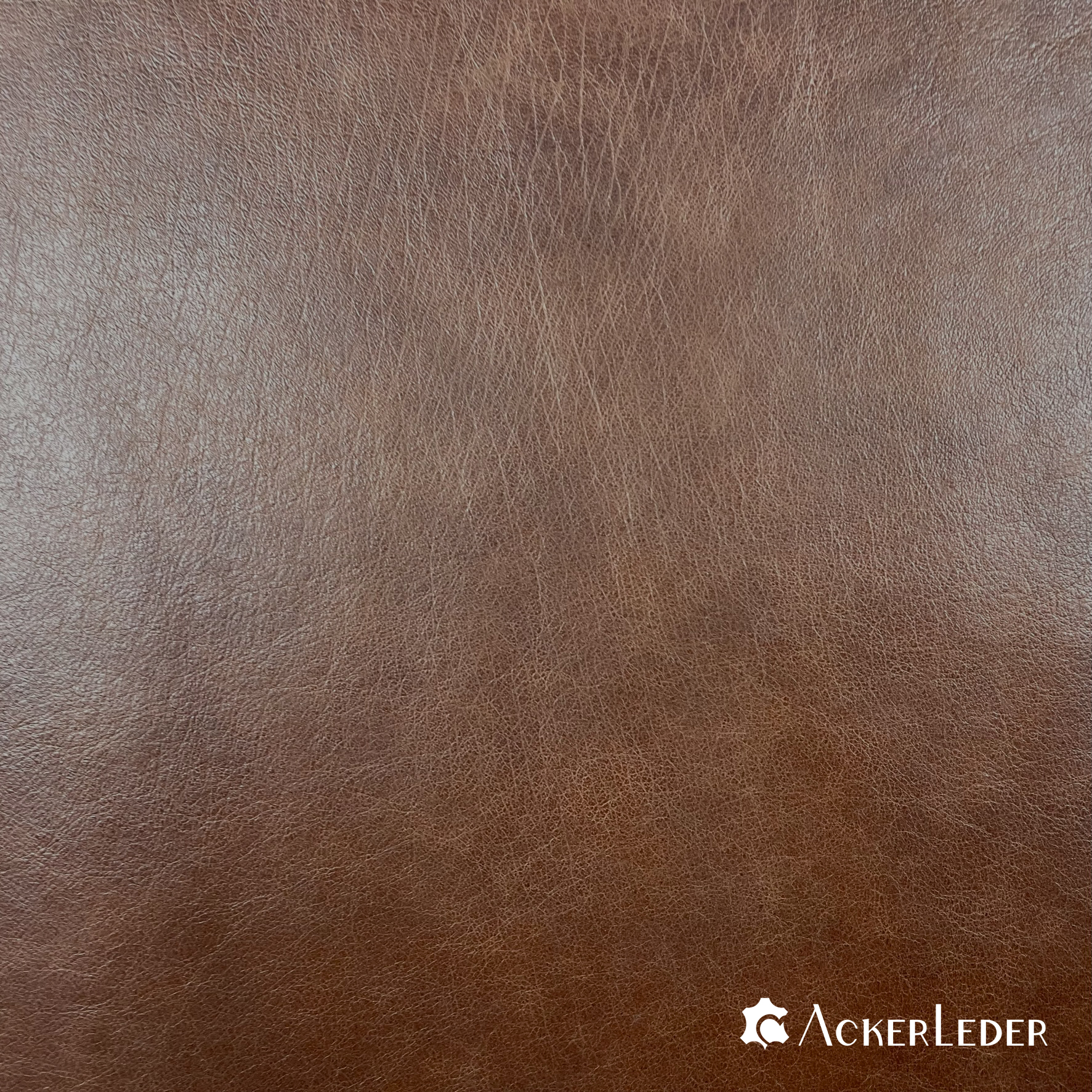 Lederhaut Rindleder Braun Chesterfield glatt Antik Vintage 2206104 verschiedene Größen