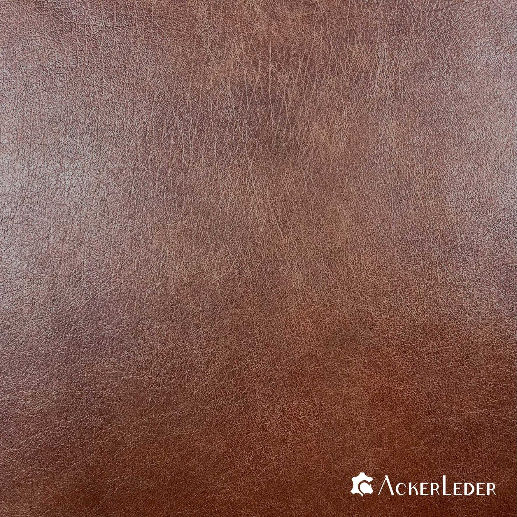 Lederhaut Rindleder Braun Chesterfield glatt Antik Vintage 2206104 verschiedene Größen