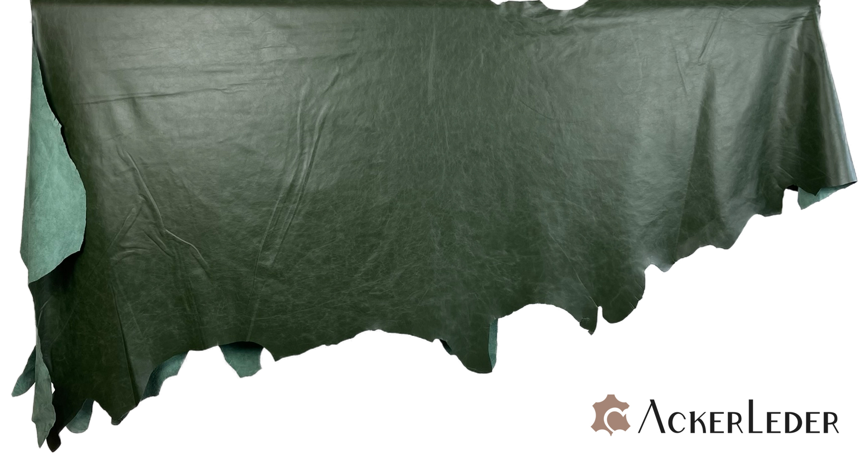 Lederhaut Rindleder Dunkelgrün Glatt Marmoriert Chesterfield 2206106 verschiedene Größen 