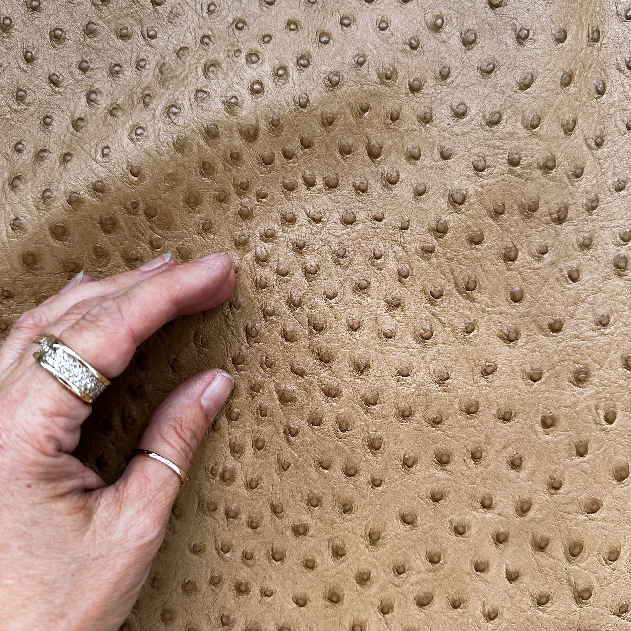 Schuh- & Taschenleder „Straußprägung Camel“ – Rindleder in Straußenoptik