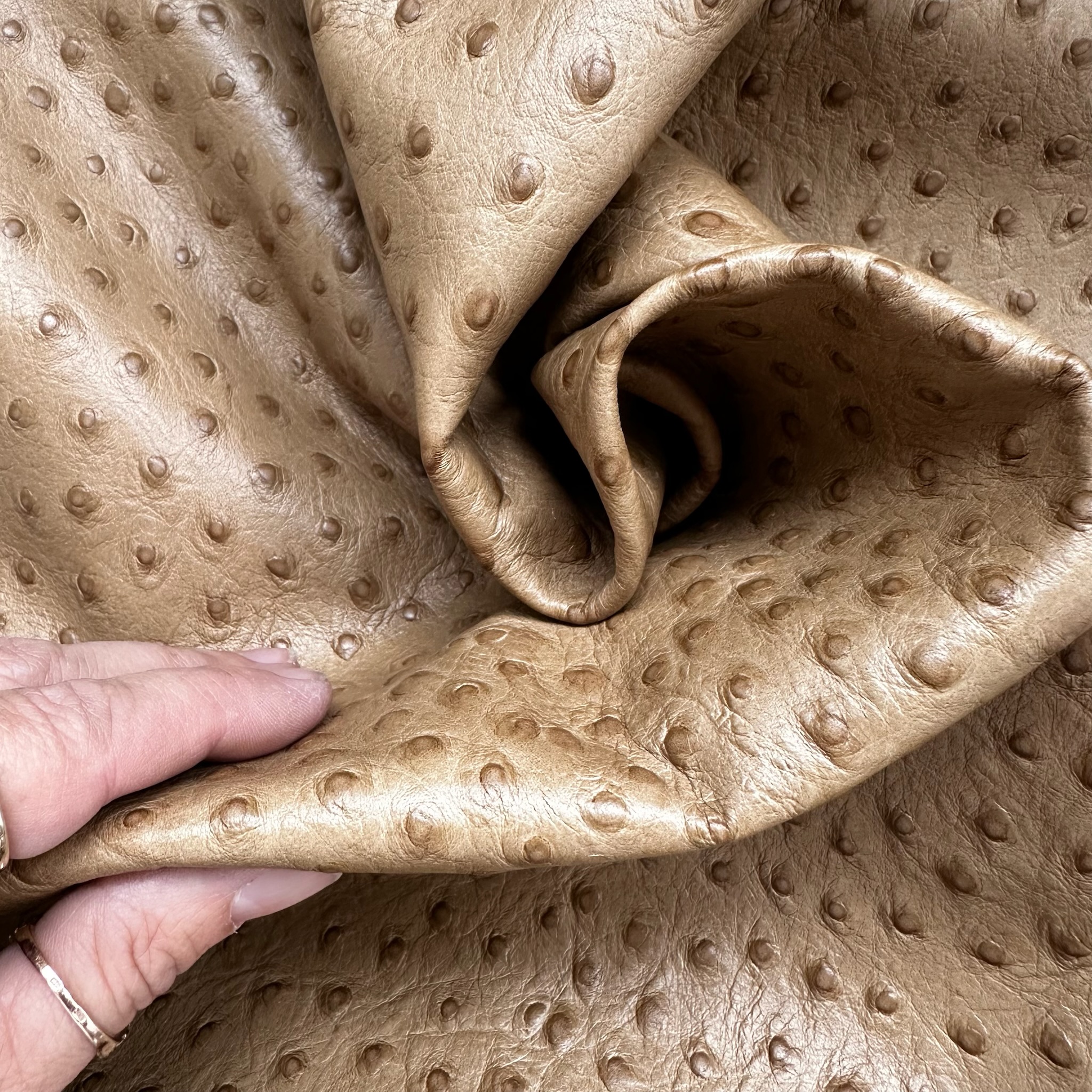 Schuh- & Taschenleder „Straußprägung Camel“ – Rindleder in Straußenoptik