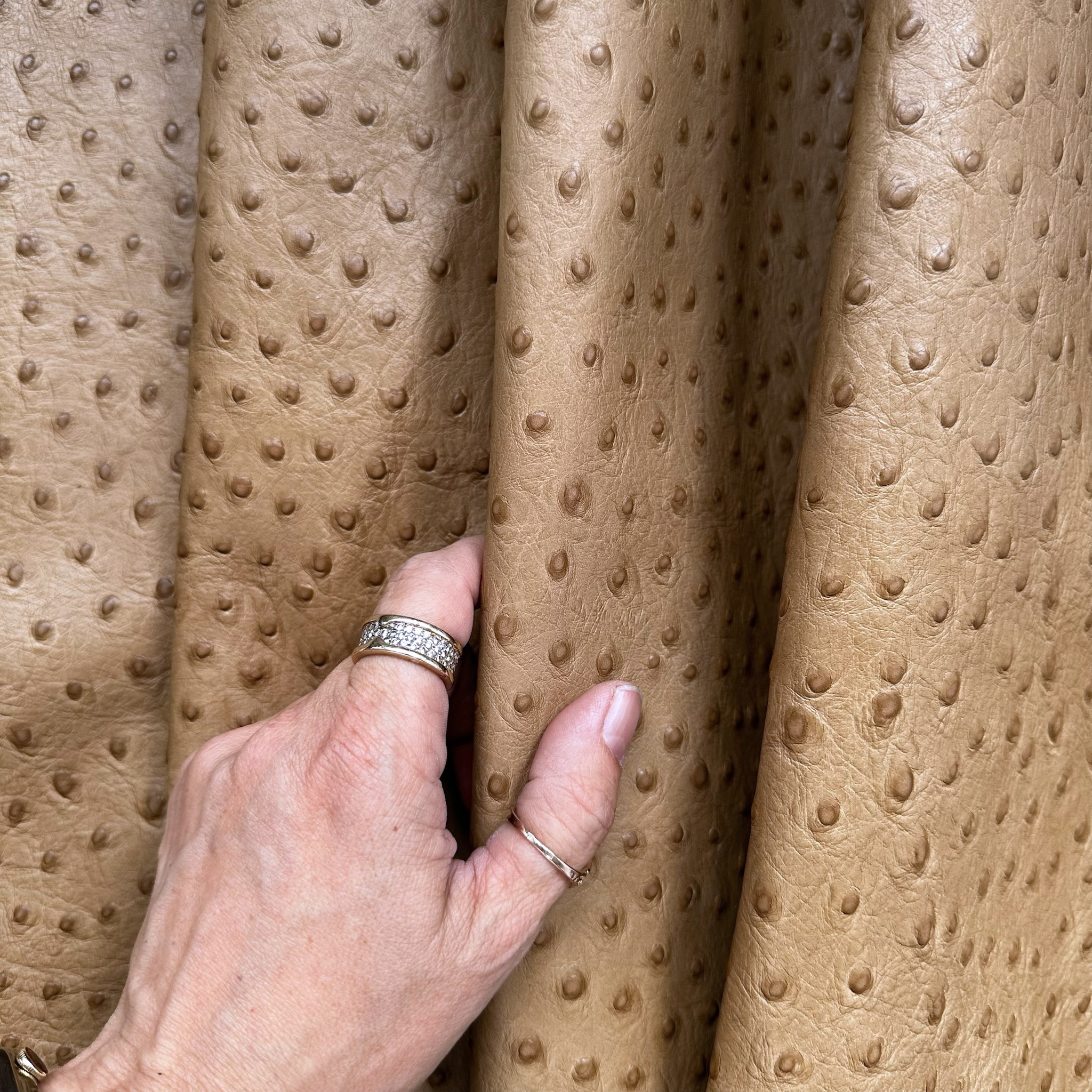 Schuh- & Taschenleder „Straußprägung Camel“ – Rindleder in Straußenoptik