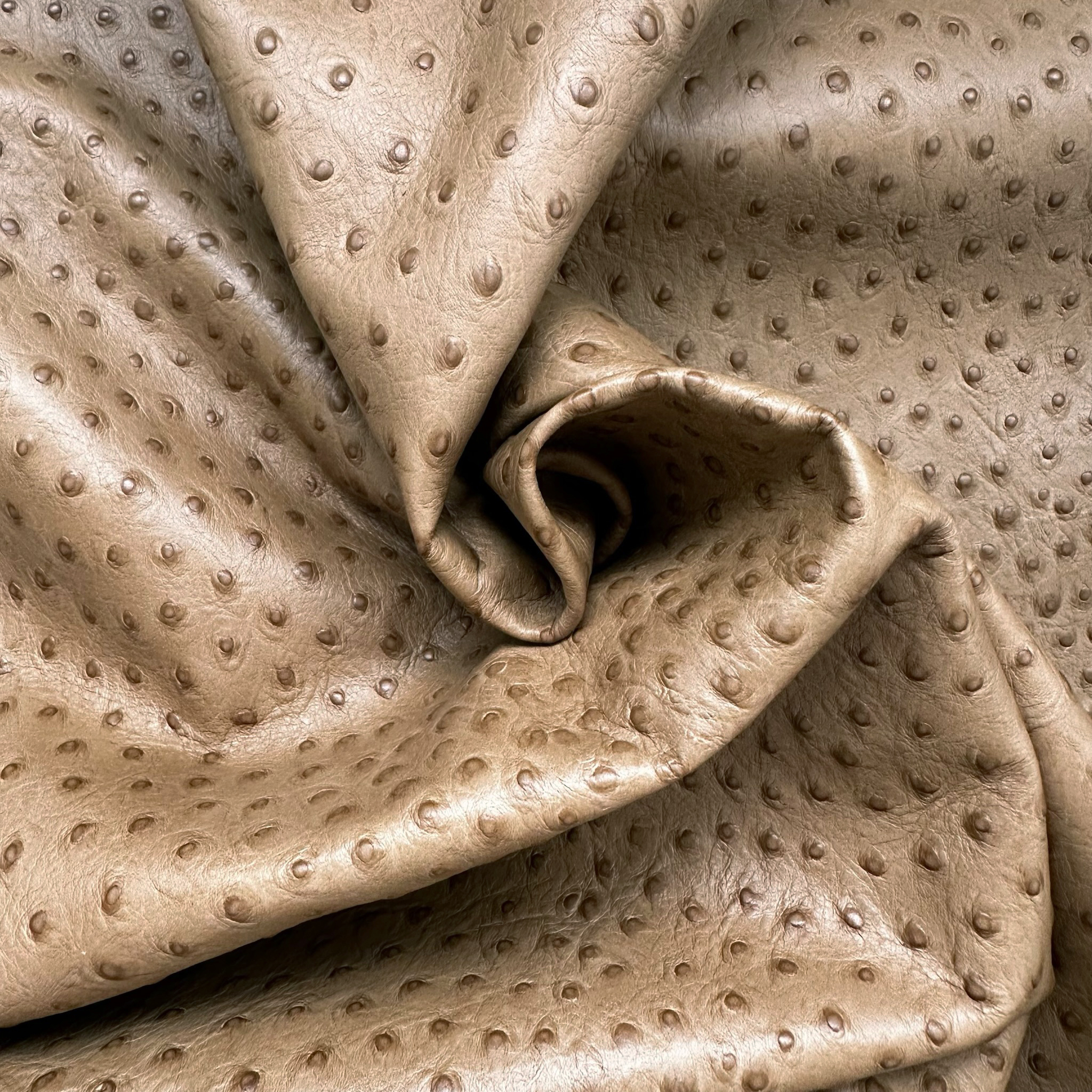 Schuh- & Taschenleder „Straußprägung Camel“ – Rindleder in Straußenoptik