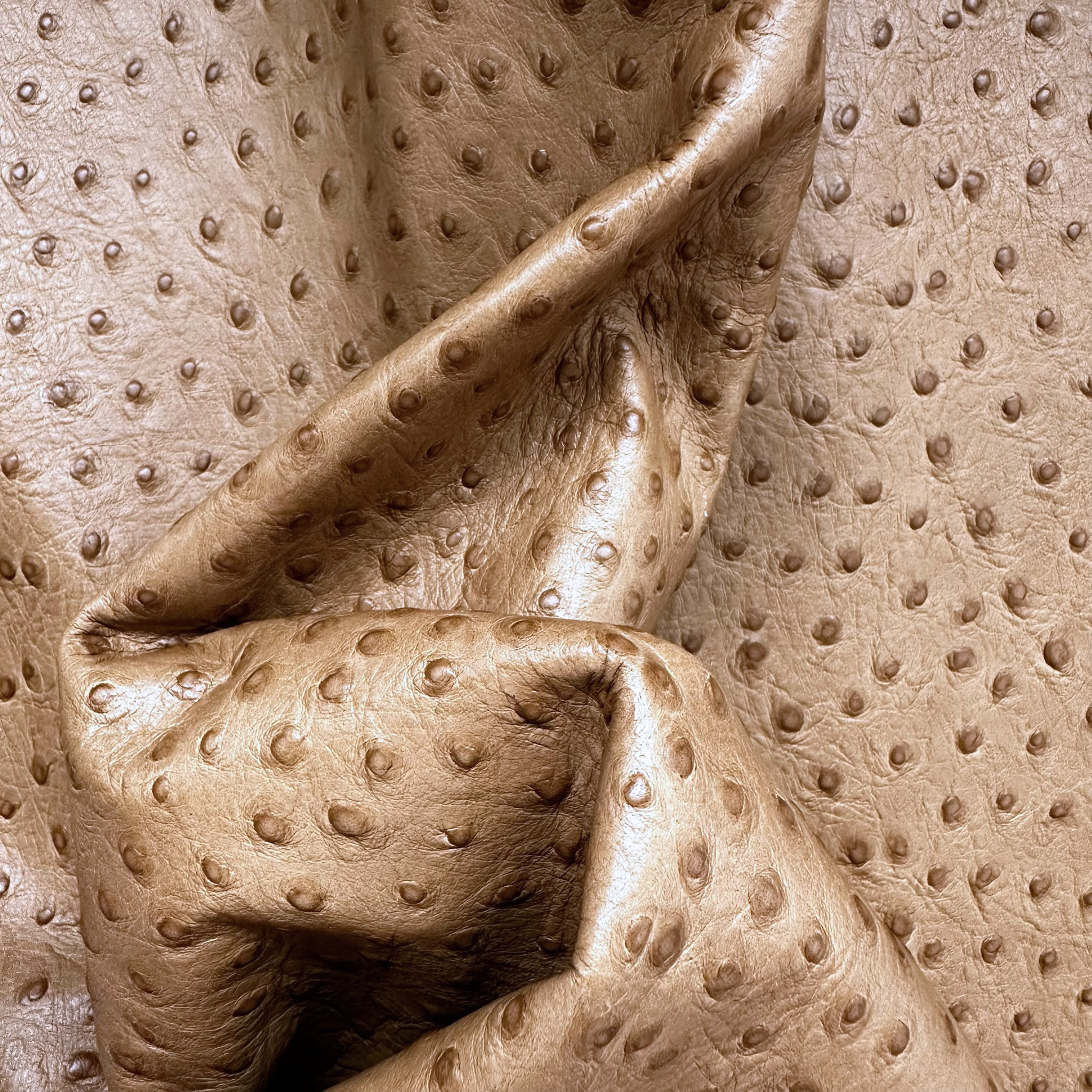 Schuh- & Taschenleder „Straußprägung Camel“ – Rindleder in Straußenoptik